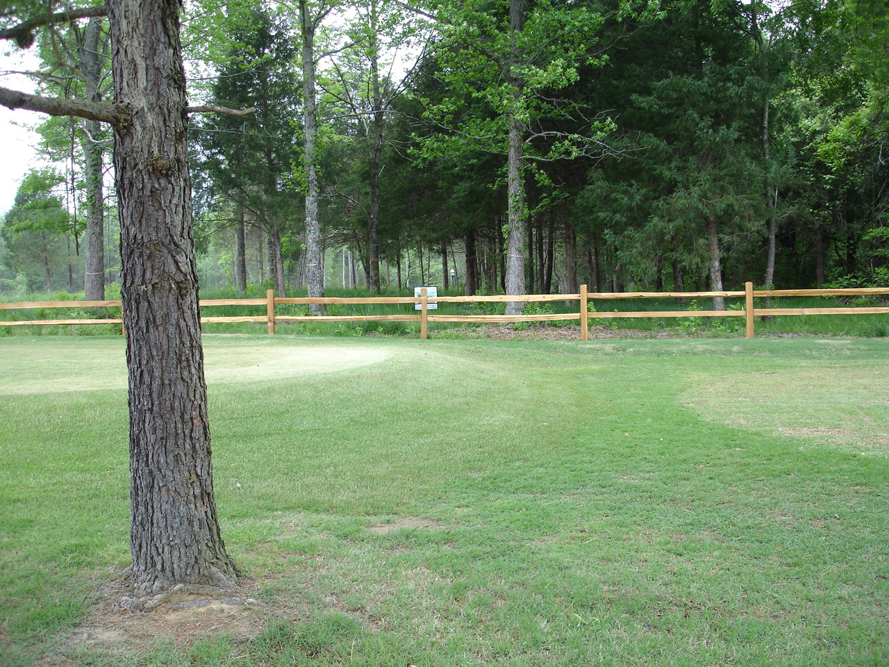 Picture001.jpg
